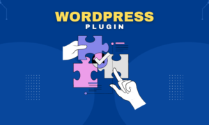 WordPress Plugin