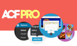 Advanced Custom Fields (ACF) Pro