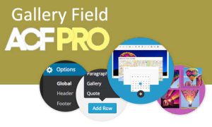 Advanced Custom Fields Gallery Field Addon