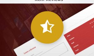 AIT Item Reviews