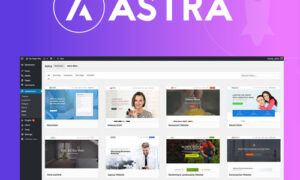 Astra Premium Sites Plugin + Agency Demos