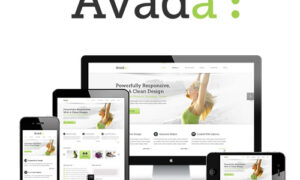 Avada Theme | Responsive Multi-Purpose Theme