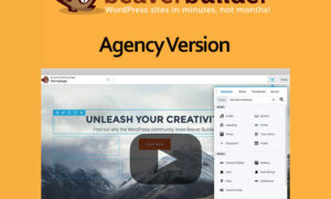 Beaver Builder Plugin - Agency Version