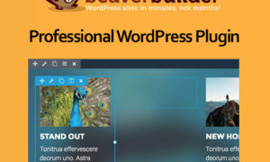 Beaver Builder Professional WordPress Plugin