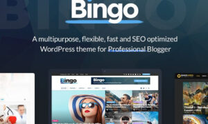 Bingo - Multi-Purpose Newspaper & Magazine Theme