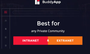 BuddyApp - Mobile First Community WordPress Theme