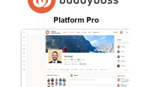 BuddyBoss Platform Pro