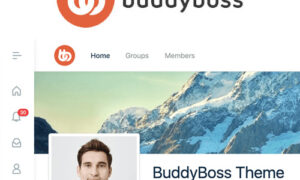 BuddyBoss Theme