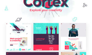 Cortex - A Multi-concept Agency Theme