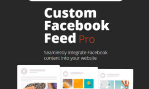 Custom Facebook Feed Pro By Smash Balloon