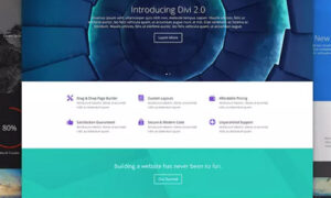 Elegant Themes Divi WordPress Theme + Layouts