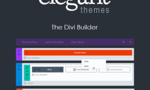 Elegant Themes The Divi Builder