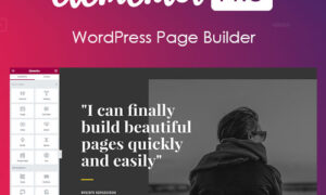 Elementor PRO WordPress Page Builder + Pro Templates