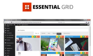 Essential Grid WordPress Plugin