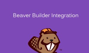 FacetWP - Beaver Builder Integration