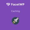 FacetWP - Caching