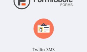 Formidable Forms - Twilio SMS