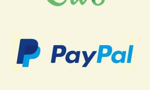 Give - PayPal Pro Gateway