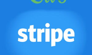 Give - Stripe Gateway