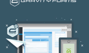 Gravity Forms WordPress Plugin