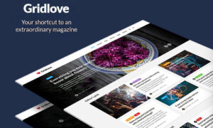 Gridlove - Creative Grid Style News & Magazine WordPress Theme