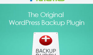 IThemes BackupBuddy WordPress Plugin