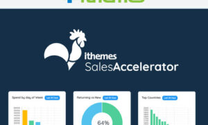 iThemes Sales Accelerator Inventory