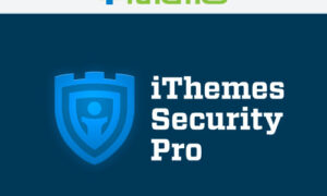 iThemes Security Pro