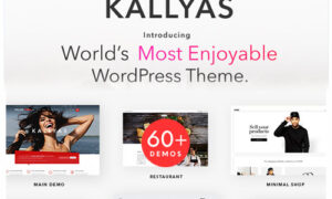 KALLYAS - Creative eCommerce Multi-Purpose WordPress Theme