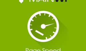 MainWP Page Speed