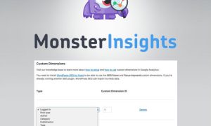 MonsterInsights - Dimensions Addon