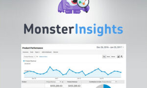 MonsterInsights - eCommerce Addon