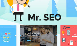 Mr. SEO - SEO, Marketing Agency and Social Media Theme