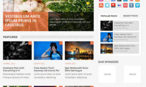 MyThemeShop Daynight WordPress Theme