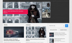 MyThemeShop Dotmag WordPress Theme