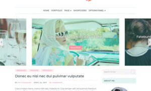 MyThemeShop Feminine WordPress Theme