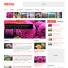 MyThemeShop Frontpage WordPress Theme