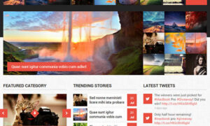 MyThemeShop Immunity WordPress Theme