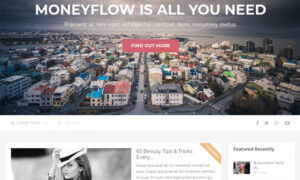 MyThemeShop MoneyFlow WordPress Theme