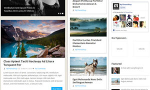 MyThemeShop Pinstagram WordPress Theme