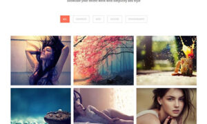 MyThemeShop Portfolio WordPress Theme