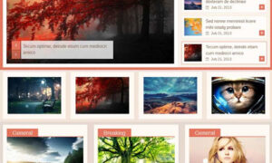 MyThemeShop Repose WordPress Theme