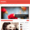 MyThemeShop Saturation WordPress Theme