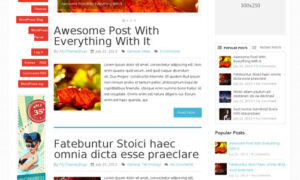 MyThemeShop Sensational WordPress Theme