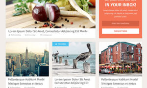 MyThemeShop SociallyViral WordPress Theme