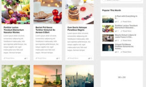 MyThemeShop Urban WordPress Theme