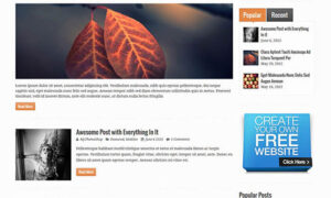 MyThemeShop Wildfire WordPress Theme