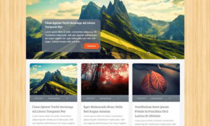 MyThemeShop Woodie WordPress Theme