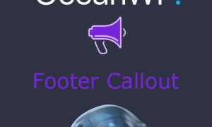 OceanWP Footer Callout