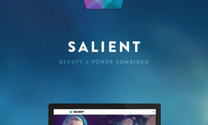 Salient - Responsive Multi-Purpose Theme